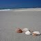 Treasures in the Sand - Sanibel, FL