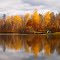 Reflections at the End of Autumn