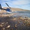 Baffin Island