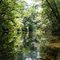 Up the Koprino River