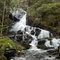 Mcullough Brook Fall I