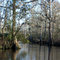 Whiskey Bayou