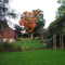 fall