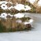 Muskrat, Keswick