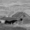 Old Horse Barn
