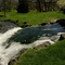 Spring Park