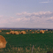 Rolls of Hay Under Lavender Sky