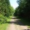 PEI, Confederation Trail near Harmony Junction