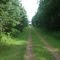 PEI, Confederation Trail, approaching St. Charles Road (# 308)