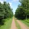 PEI, Confederation Trail, on sunny summer afternoon...