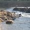 Dominion Threatens Roanoke River