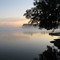 Morning Mist