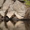 Granite reflection