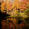 Autumn in Caledon, Ontario by K. Machulewski