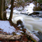 Well Above Cannings Falls