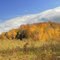 Everchanging nature