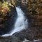 Gavin Brook Fall II