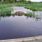 Boggy Creek
