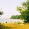 Point Farms Provincial Park