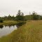 The Kapoose Creek