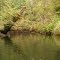 Head Waters of the Kapoose