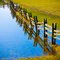 Fence Reflection