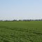 West Gwillimbury Canada