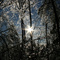 Icy Morning in Sandown, NH
