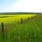 22X Divided
