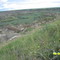 Dinosaur Park Alberta Southeast of Calgary