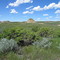 Scrublands at the Red Deer Valley Bottom Dinosaur Park Alberta Southeast of Calgary