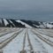 Pinstriped Scenery in Clarington, ON, Canada