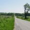Near Orono, Clarington, Durham Region, ON, Canada