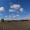 Holt Road, Darlington, Clarington, ON, Canada
