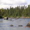 LSW Miramichi River - Moose at Moose Landing