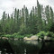 Salmon Hole