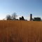 Chatham-Kent Tallgrass Prairie in Winter