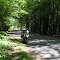 Egypt Rd, near Boonville, NY.  tunnel of trees, june 19, 2004