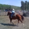young rider