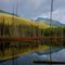 Beaver Dam, Babine Slide Forest, BC