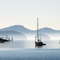 Morning Mist