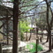 Little River Zoo