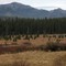 Ram Mountain from Trout Road