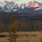 Misty Valley Alberta