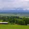 Alberta summer fields; 2012