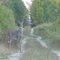 Baby Buck.