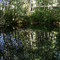 Pond near Buxton Trestle
