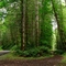 Horseshoe trail