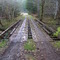 Timber site bridge