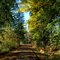 Banks-Vernonia State Trail